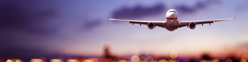 Export consultant for the Go Global program