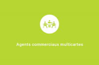 Agents commerciaux multicartes