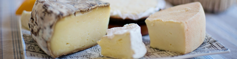 Cheese industry in Spain - Barcelona Export