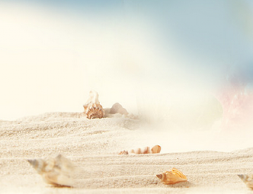 Barcelona Export cierra por vacaciones 2020